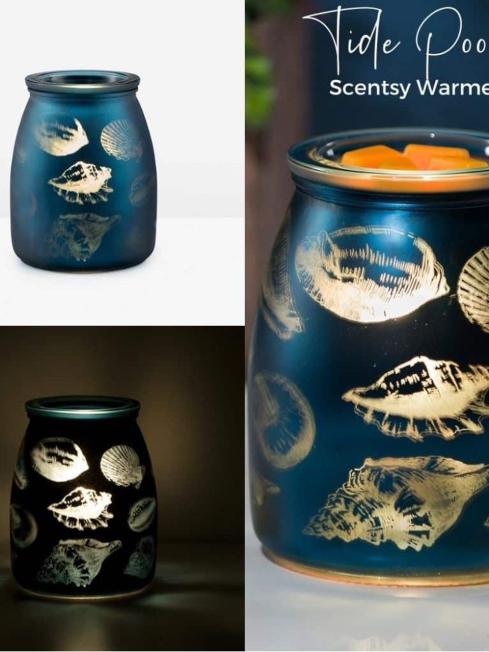 Scentsy Tide Pool Warmer
